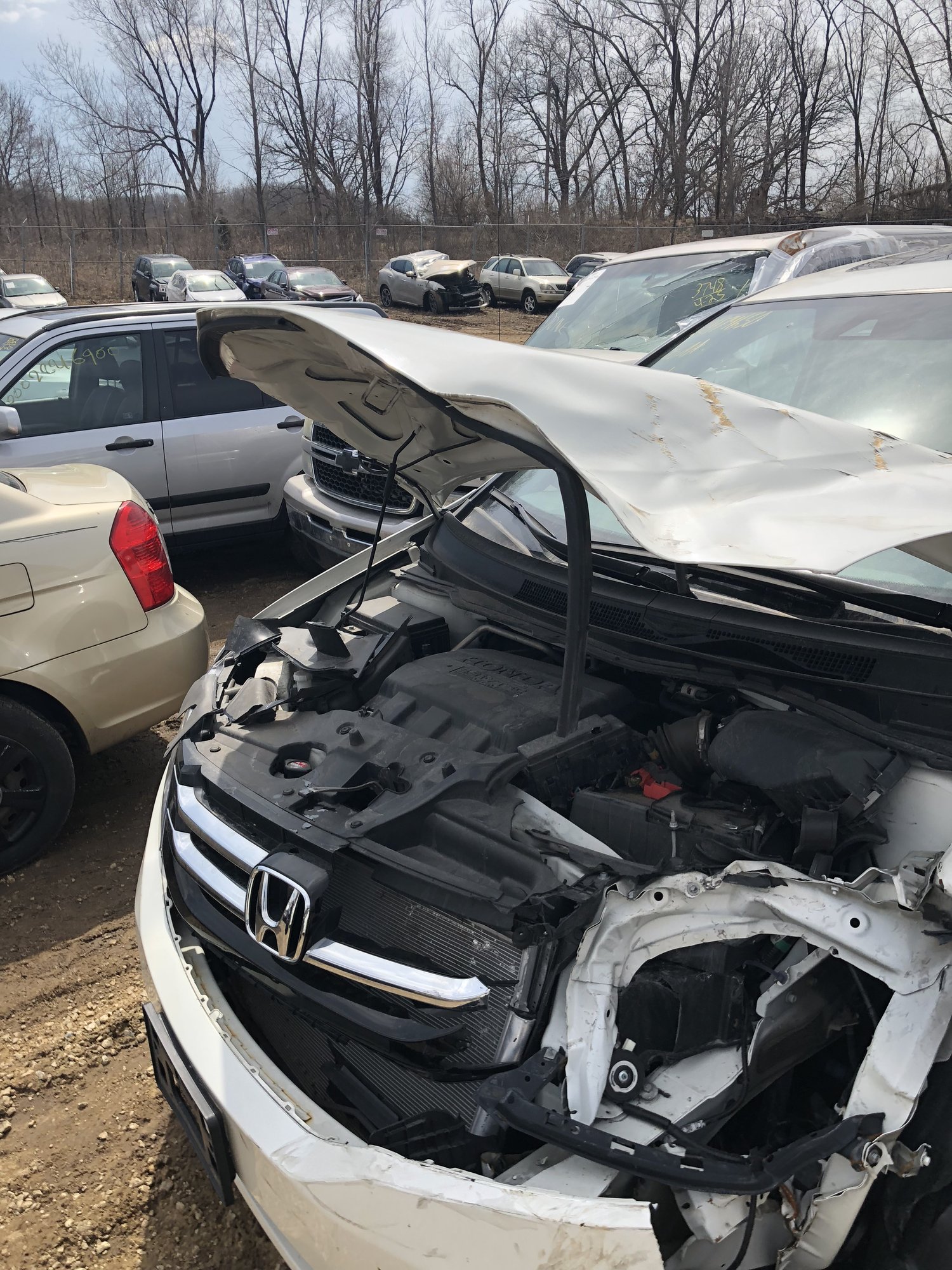 2015 Honda Odyssey EX-L — Before repair, April 24, 2018 — front, hood up